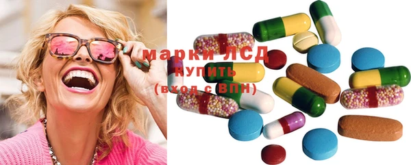 ГАЛЛЮЦИНОГЕННЫЕ ГРИБЫ Ельня