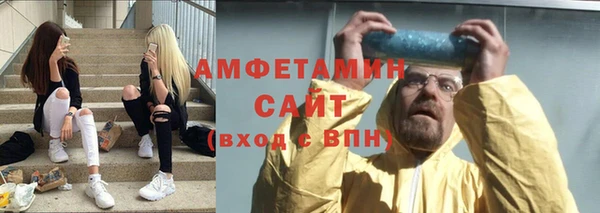 ГАЛЛЮЦИНОГЕННЫЕ ГРИБЫ Ельня