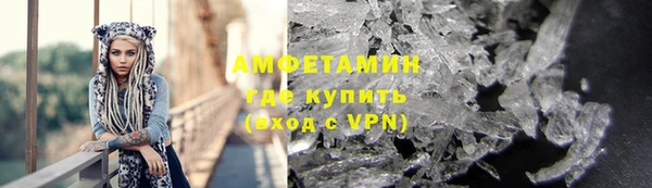 ГАЛЛЮЦИНОГЕННЫЕ ГРИБЫ Ельня