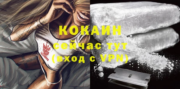 ГАЛЛЮЦИНОГЕННЫЕ ГРИБЫ Ельня
