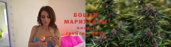 ALPHA PVP Елизово