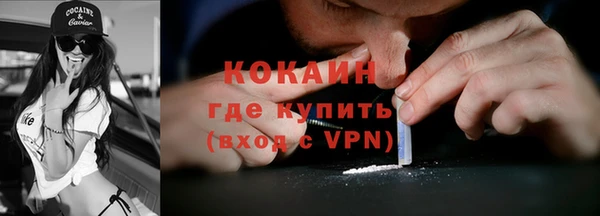 ГАЛЛЮЦИНОГЕННЫЕ ГРИБЫ Ельня