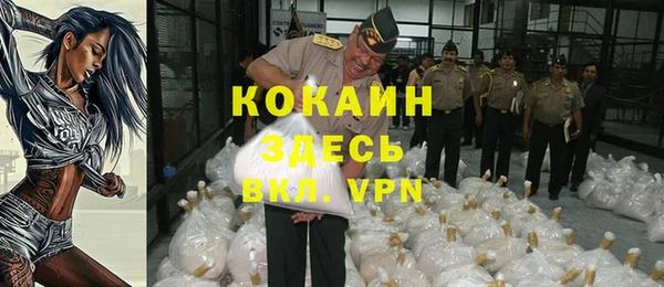 ALPHA PVP Елизово