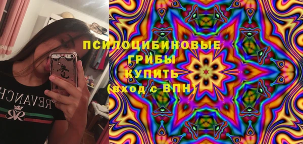 ALPHA PVP Елизово