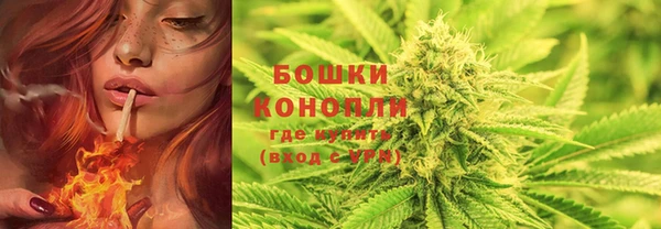 спайс Елабуга
