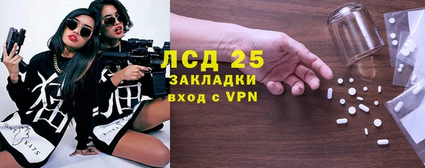 ГАЛЛЮЦИНОГЕННЫЕ ГРИБЫ Ельня