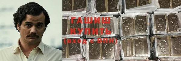 ГАЛЛЮЦИНОГЕННЫЕ ГРИБЫ Ельня